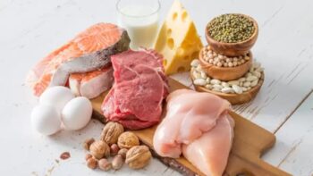 Dieta da Proteína – Como funciona